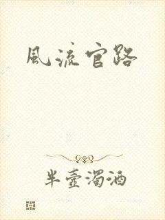 风流官路