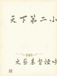 天下第二小说