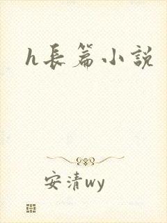 h长篇小说