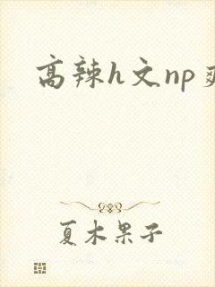 高辣h文np爽