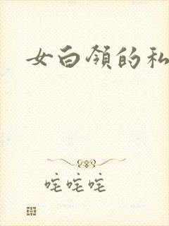 女白领的私生活封面