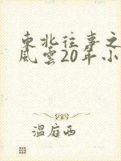 东北往事之黑道风云20年小说