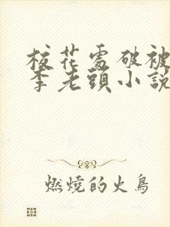 校花处破被灌满李老头小说