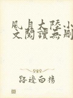 风月大陆小说全文阅读无删减封面