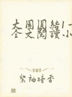 大团圆结1一6全文阅读小说