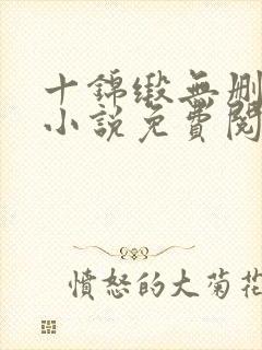 十锦缎无删原著小说免费阅读