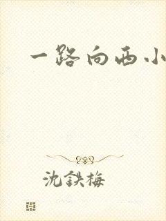 一路向西小说封面