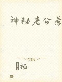 神秘老公惹不起