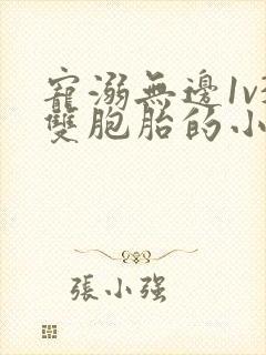 宠溺无边1v3双胞胎的小说