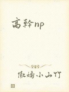 高干np