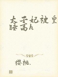 太子妃被皇上强睡高h