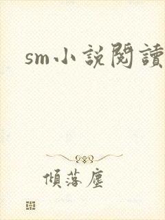sm小说阅读