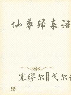 仙尊归来洛尘封面