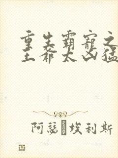 重生霸宠之摄政王爷太凶猛