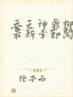 吞天神鼎柳无邪最新章节阅读