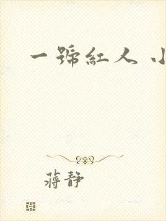 一号红人 小说封面