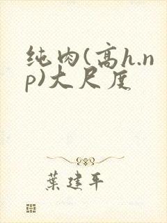 纯肉(高h.np)大尺度