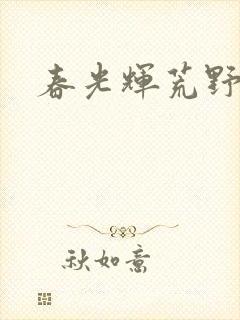 春光辉荒野封面