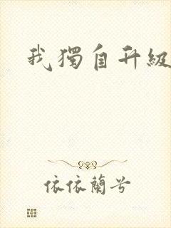 我独自升级小说