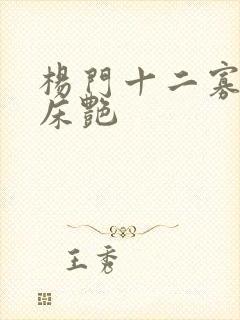 杨门十二寡妇肉床艳