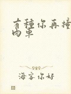 有种你再撞一下肉车