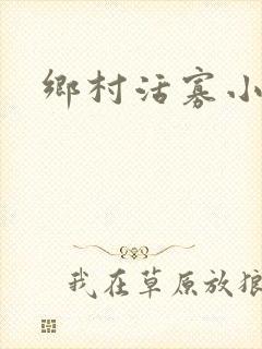 乡村活寡小说封面