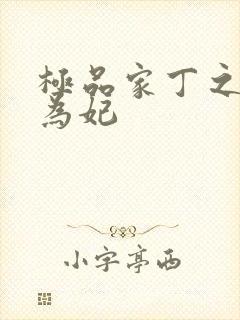 极品家丁之册母为妃