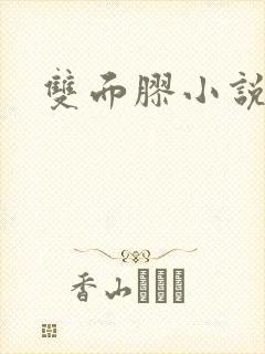 双面胶小说封面