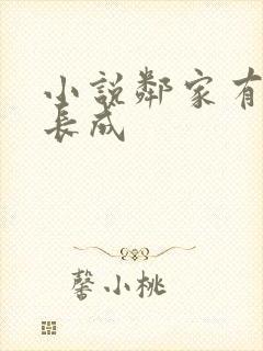 小说邻家有女初长成封面