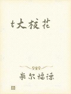 t大校花封面