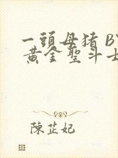 一头母猪 BY 黄金圣斗士封面