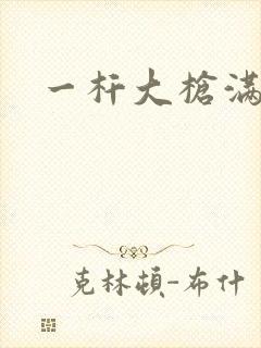 一杆大枪满屋扫封面