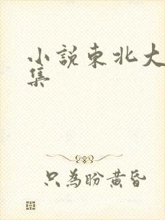 小说东北大炕全集封面