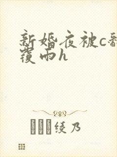 新婚夜被c翻云覆雨h封面