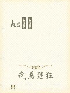 hsС˵封面