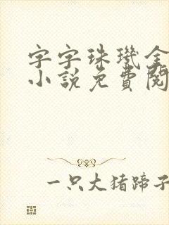 字字珠玑金银花小说免费阅读