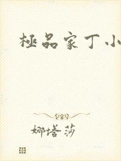 极品家丁小说
