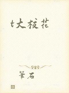 t大校花