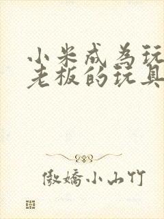 小米成为玩具店老板的玩具