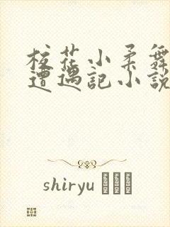 校花小柔舞蹈室遭遇记小说