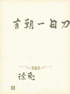 有朝一日刀在手封面