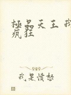 极品天王 我本疯狂