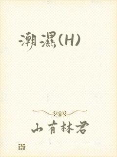 潮湿(H)封面