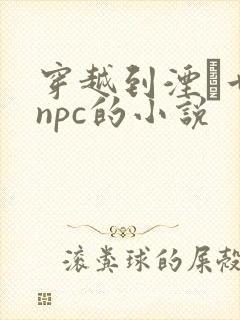 穿越到湮婸世界npc的小说封面