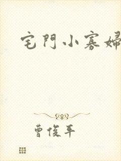 宅门小寡妇