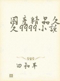 国产精品久久久久9999小说