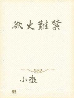 欲火难禁封面