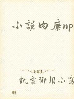 小说肉糜np