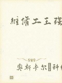 维修工王强张婷封面