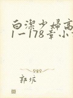 白洁少妇高义第1一178章小说封面